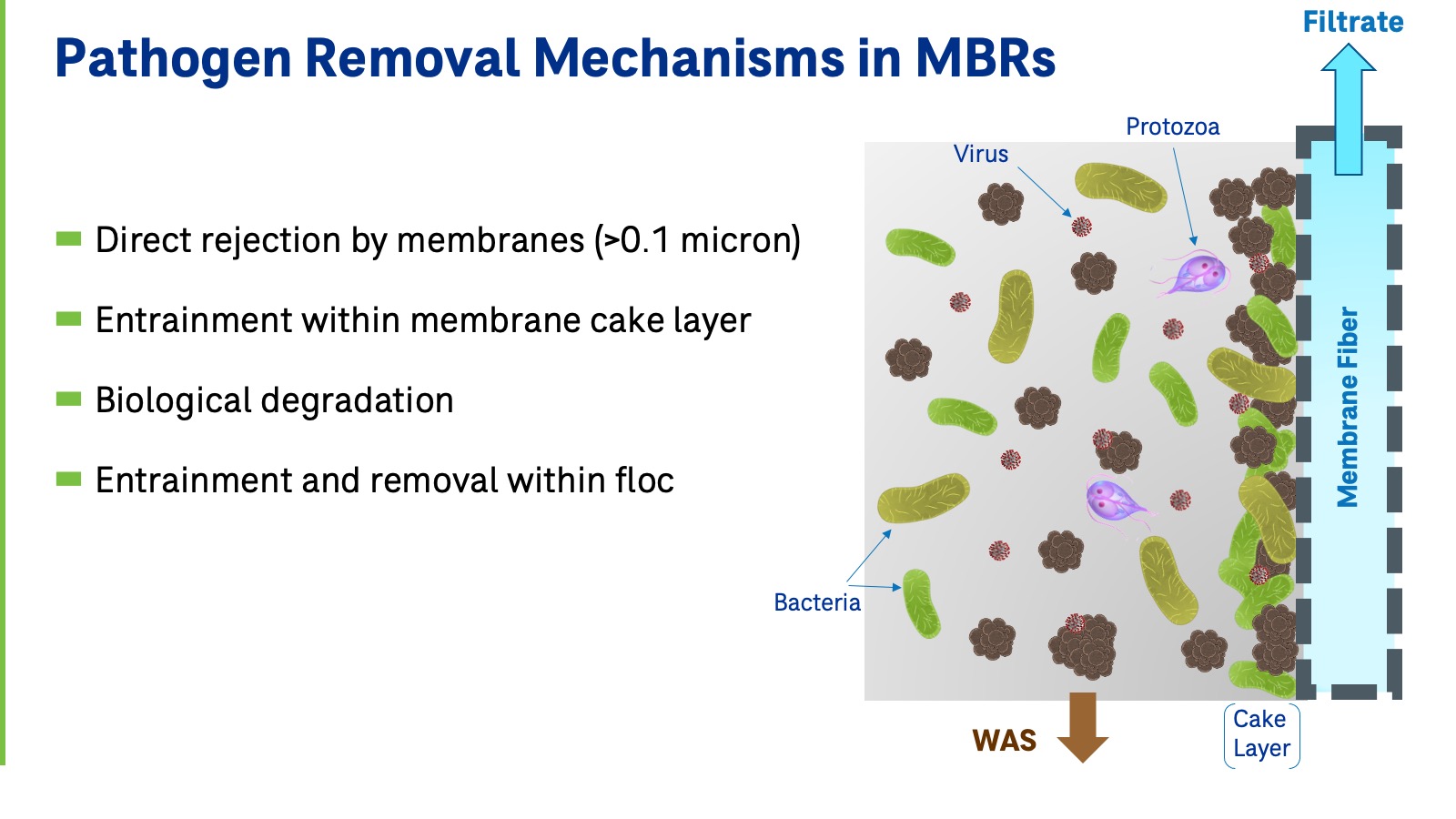 MBR_Best_Practices_For_Potable_Reuse-slide14.jpeg